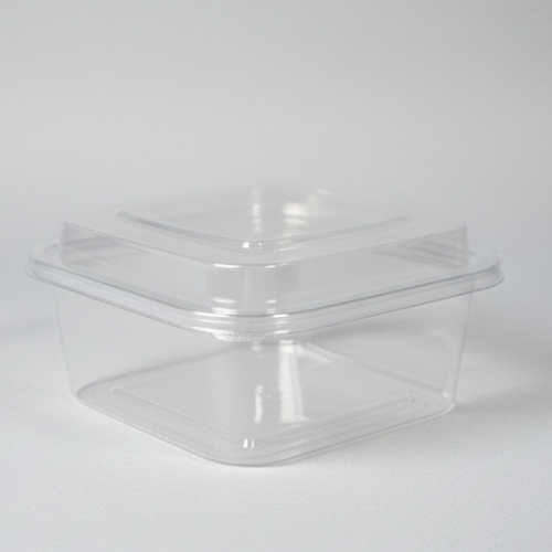 PLASTIC STORAGE CONTAINER 16.0*16.0*5.2 CM (1 PC)