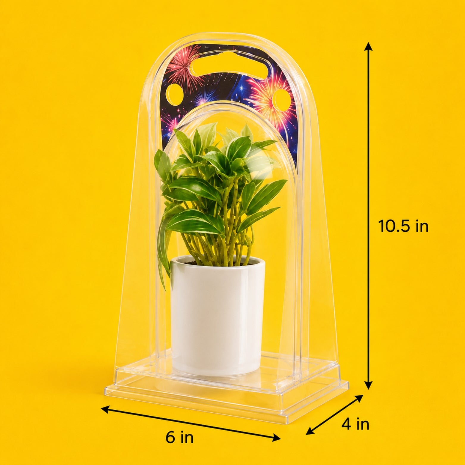 PLASTIC DISPLAY BOX  ROUND SHAPE    (Set of 2 PCS)