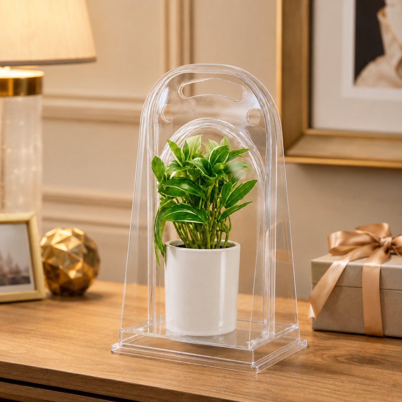 PLASTIC DISPLAY BOX  ROUND SHAPE    (Set of 2 PCS)