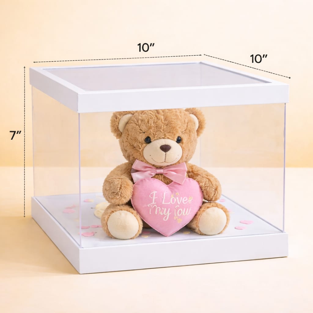 Transparent  cake Box  (10x10x7 Inch Set of 3 PCS)